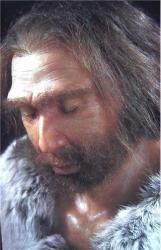 neanderthaler zag er als een robuuste mens uit