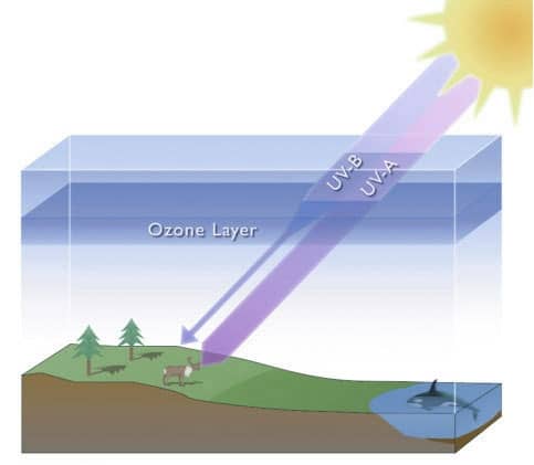 ozonlaag bescherm ons tegen straling en bestaat uit zuurstof