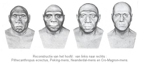 reconstructies van de primitieve mens