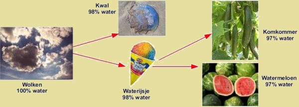 stamboom van deze onzin is net zo raar als het vergelijken van botstructuren