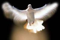 Holy Spirit comes down as a dove