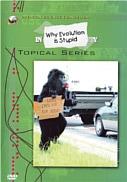 CSE Why Evolution is Stupid